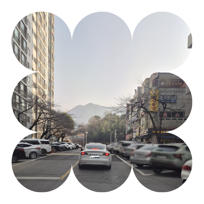 부산운전연수 후기 - 기장군